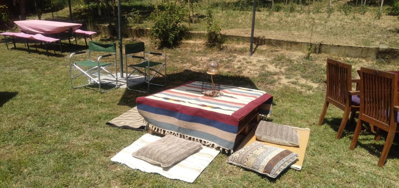 アレッサンドリアLa Casa Nel Soleアパートメント エクステリア 写真
